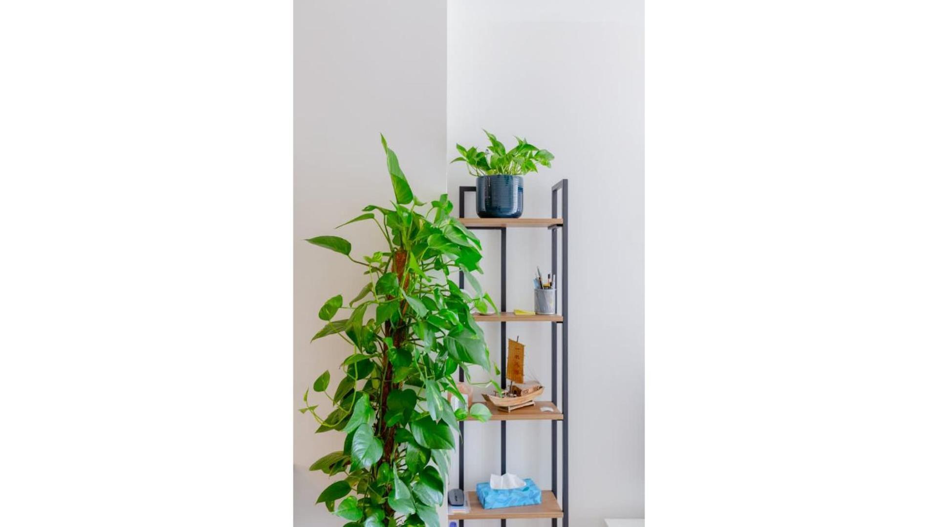 Modern 1bd Flat W Balcony Heart Of Brixton Appartamento *